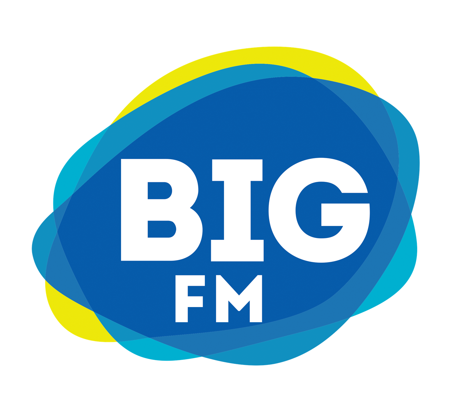 Big FM-SCALE Client